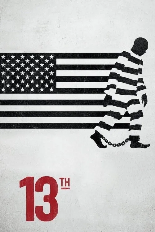 13-та поправка (2016)