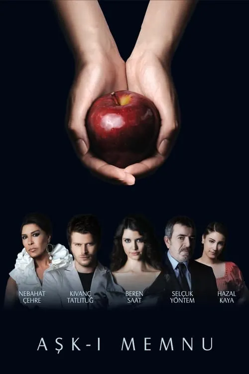 Заборонене кохання (2008–2010)